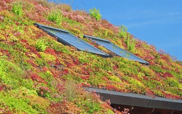 Bury St Edmunds living roof systems