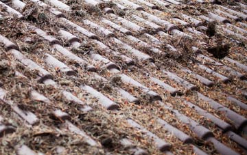 Bury St Edmunds roof cleaning companies